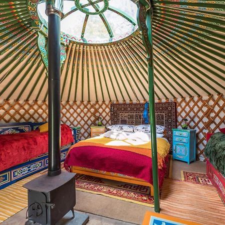 فندق Pembrokeshire Yurts - Badger Llanfyrnach المظهر الخارجي الصورة