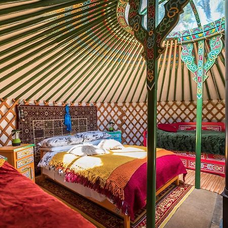 فندق Pembrokeshire Yurts - Badger Llanfyrnach المظهر الخارجي الصورة