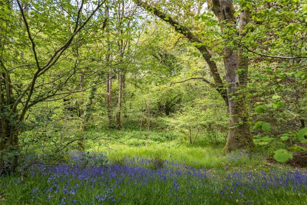 فندق Pembrokeshire Yurts - Badger Llanfyrnach المظهر الخارجي الصورة