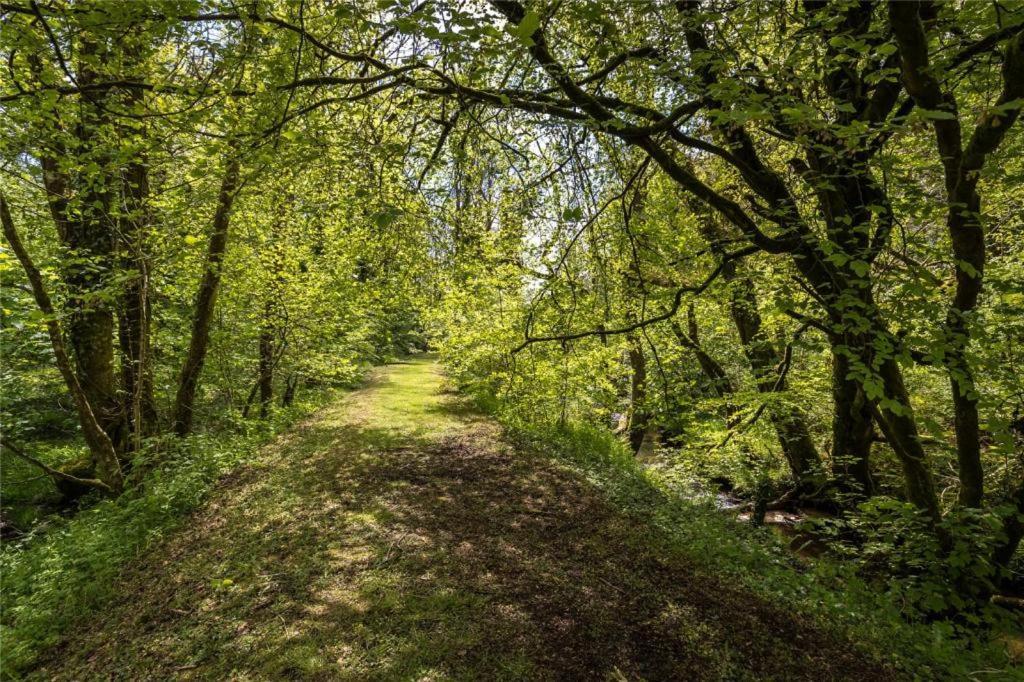 فندق Pembrokeshire Yurts - Badger Llanfyrnach المظهر الخارجي الصورة