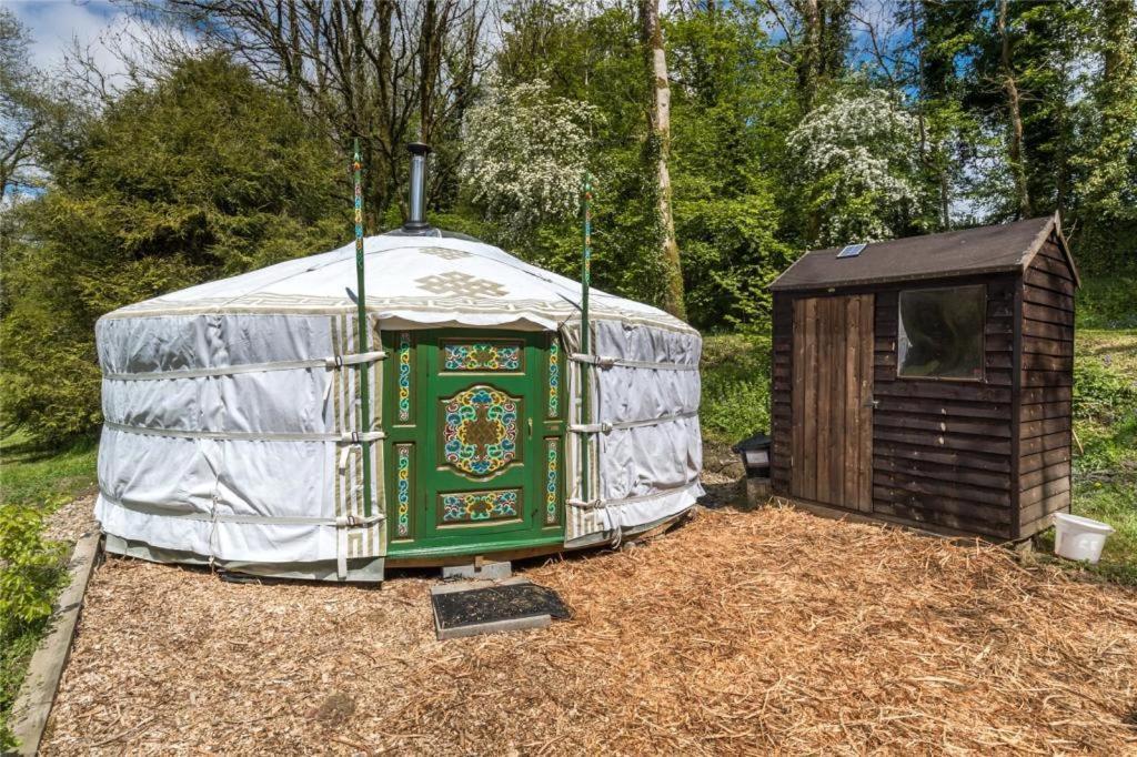 فندق Pembrokeshire Yurts - Badger Llanfyrnach المظهر الخارجي الصورة