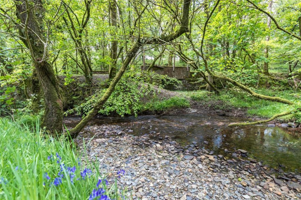 فندق Pembrokeshire Yurts - Badger Llanfyrnach المظهر الخارجي الصورة