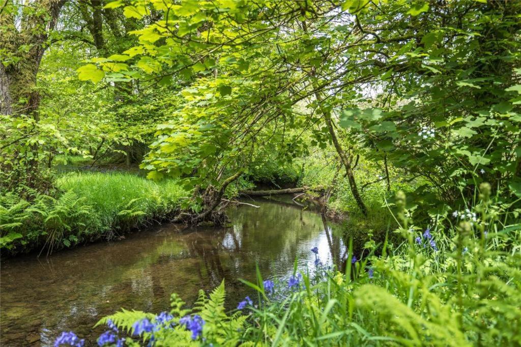 فندق Pembrokeshire Yurts - Badger Llanfyrnach المظهر الخارجي الصورة