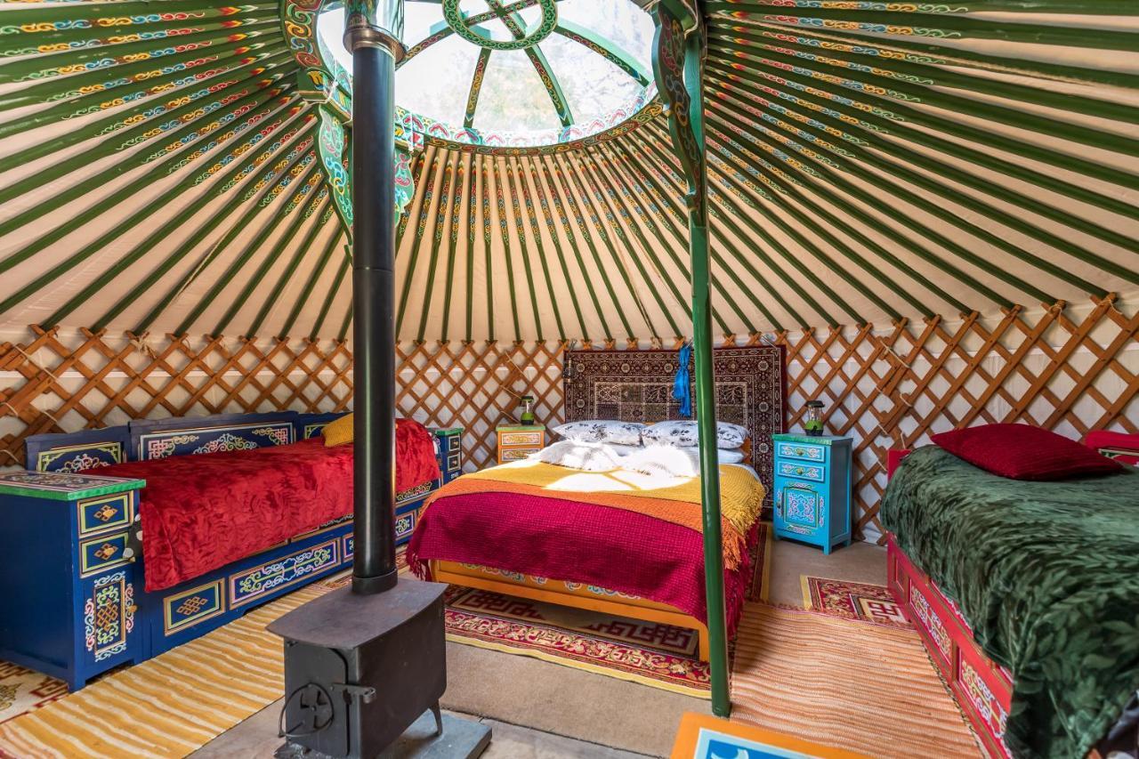 فندق Pembrokeshire Yurts - Badger Llanfyrnach المظهر الخارجي الصورة