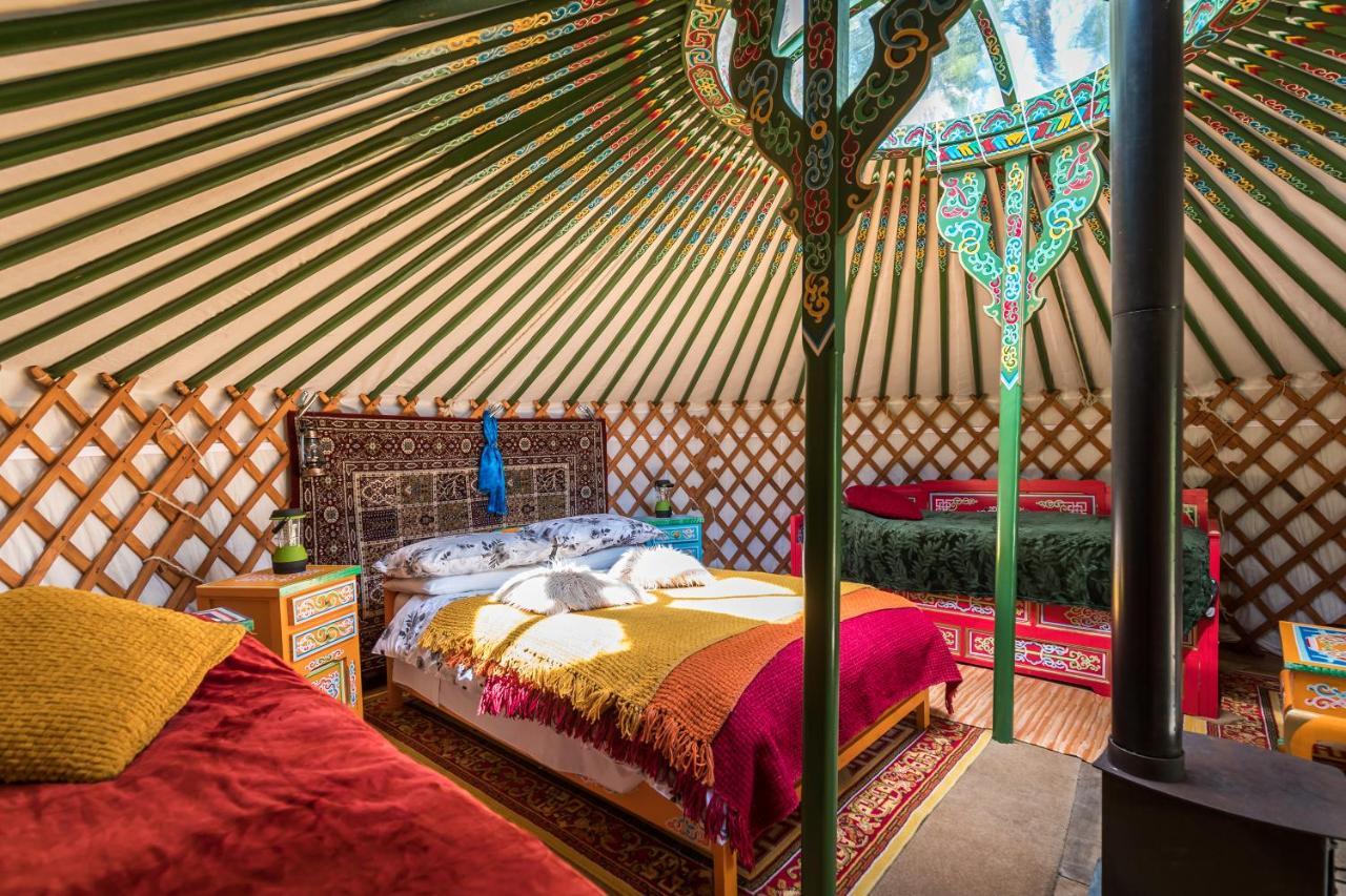 فندق Pembrokeshire Yurts - Badger Llanfyrnach المظهر الخارجي الصورة